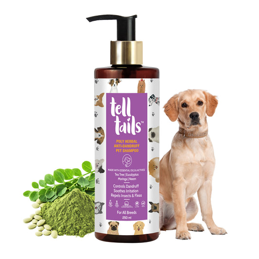 Tell Tails Anti-Dandruff Pet Shampoo with a golden retriever and herbal ingredients from zigly