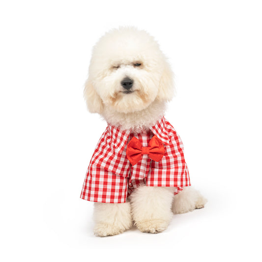 ZL Gingham Glam Dog Shirt
