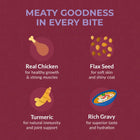Zigly pet food benefits with icons: real chicken, flax seed, turmeric, and rich gravy.