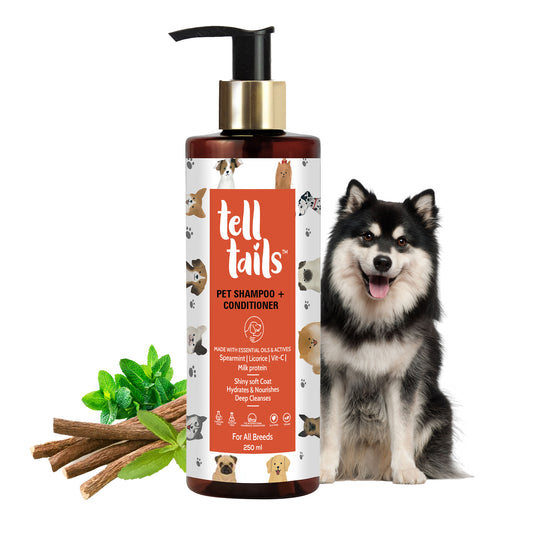 Tell Tails 2-in-1 dog shampoo and conditioner bottle with a fluffy dog and zigly