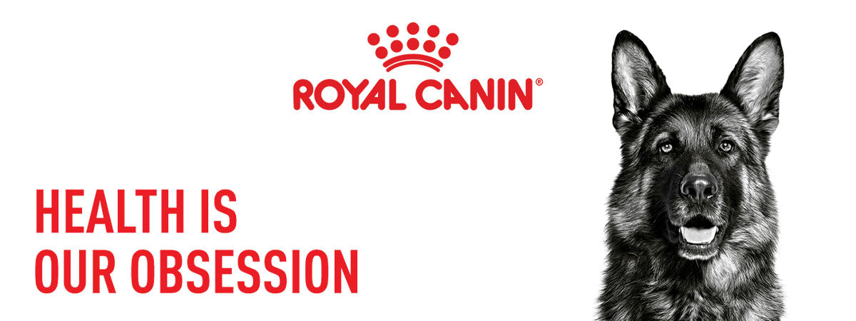 Royal Canin Maxi Adult Wet Dog Food