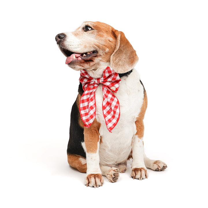ZL Gingham Glam Ribbon Dog Bow Tie