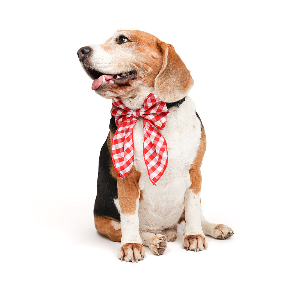 ZL Gingham Glam Ribbon Dog Bow Tie
