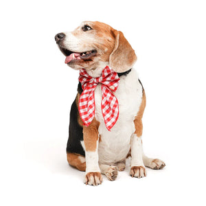 ZL Gingham Glam Ribbon Dog Bow Tie - Zigly