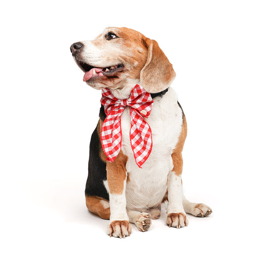 zl-gingham-glam-ribbon-dog-bow-tie