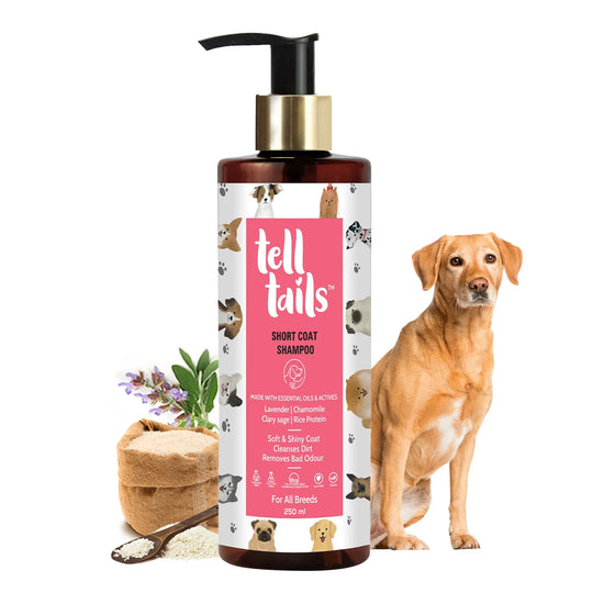 Tell Tails Short Coat Dog Shampoo 250ml bottle with a golden retriever, available at Zigly