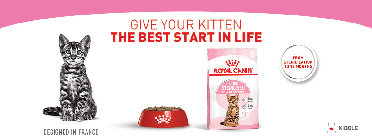 Royal Canin Kitten Sterilised Dry Cat Food