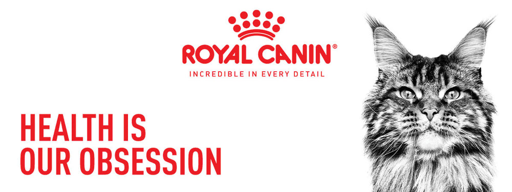 Royal Canin Indoor 27 Adult Dry Cat Food