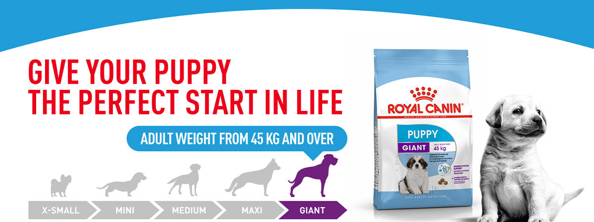 Royal Canin Giant Puppy Dry Dog Food