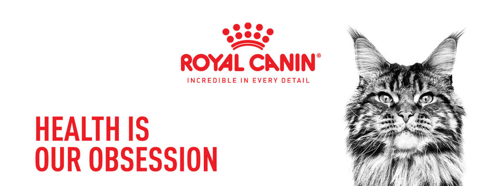 Royal Canin Sterilised 7+ Years Adult Dry Cat Food