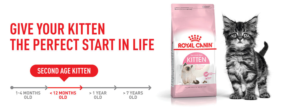 Royal Canin Kitten 36 Dry Cat Food