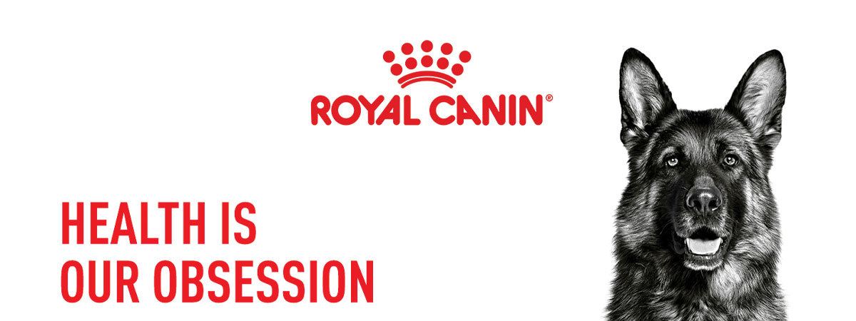 Royal Canin Medium Adult Wet Dog Food