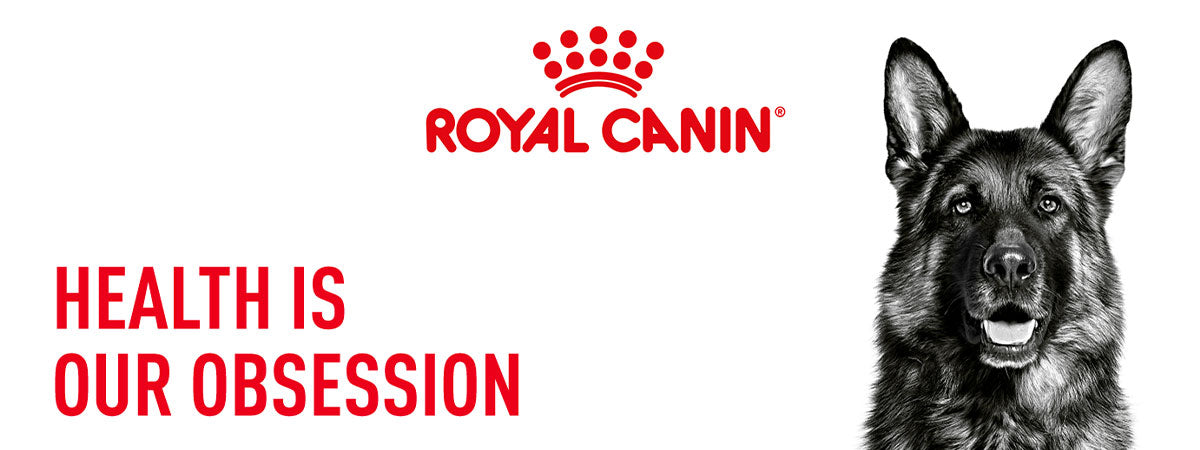 Royal Canin Maxi Adult Dry Dog Food