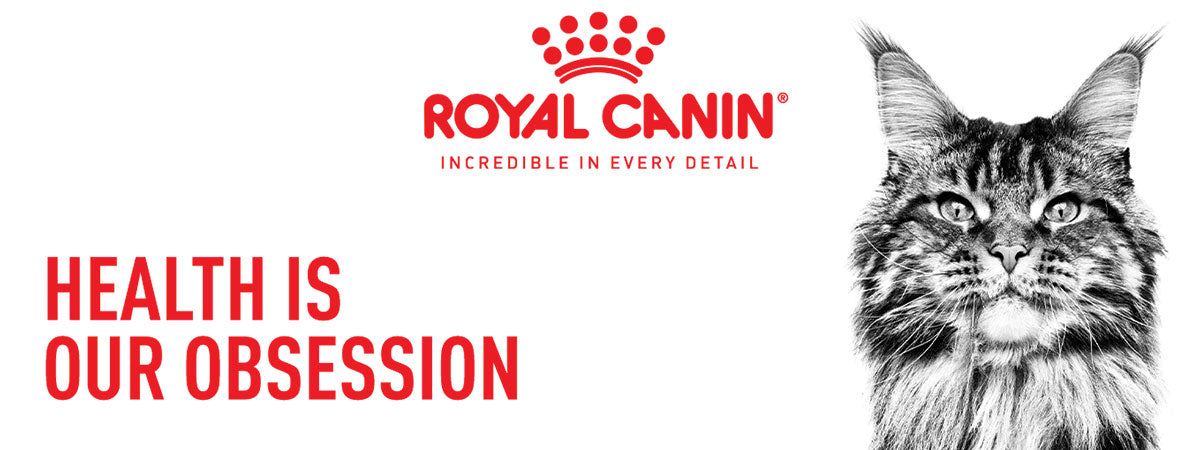 Royal Canin Indoor 7+ Years Adult Dry Cat Food