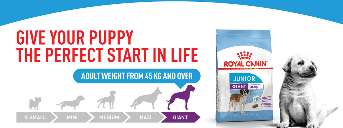 Royal Canin Giant Junior Dry Dog Food