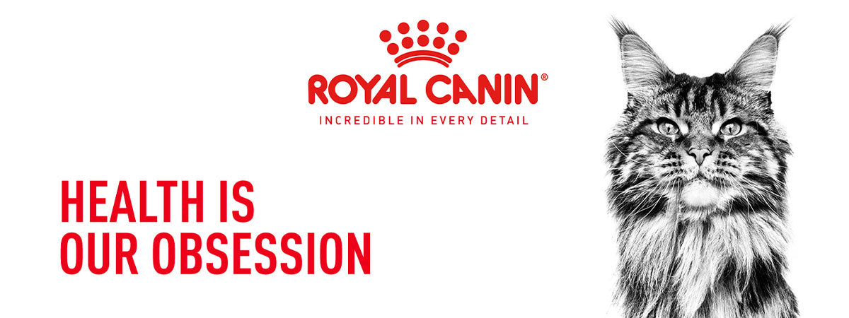 Royal Canin Persian Adult Dry Cat Food