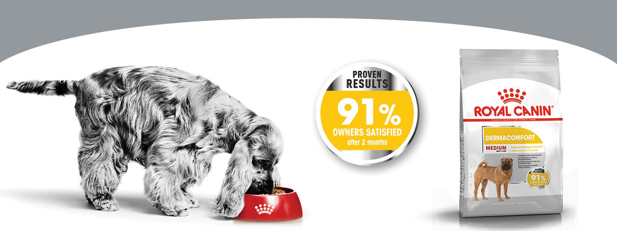Royal Canin Medium Dermacomfort Adult Dry Dog Food