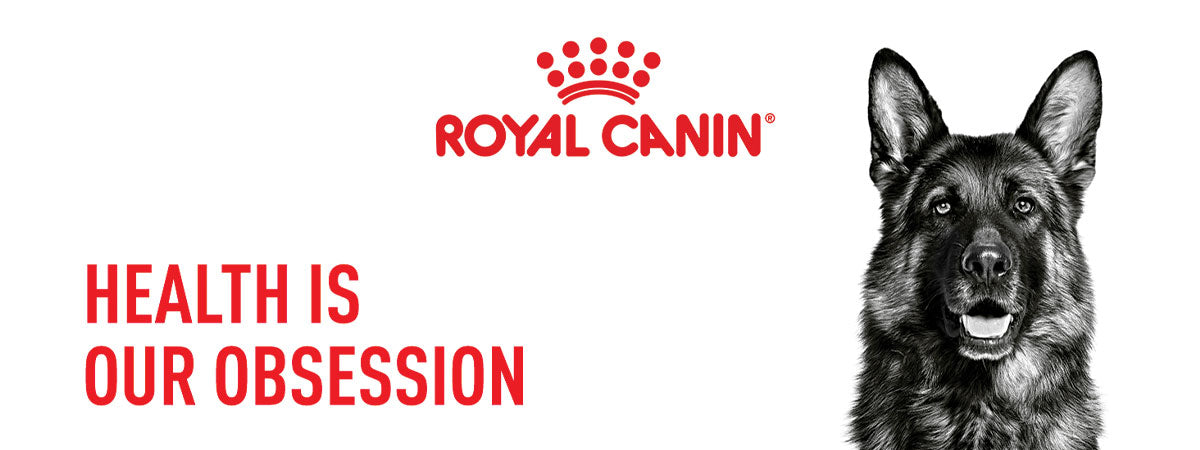 Royal Canin Giant Adult Dry Dog Food