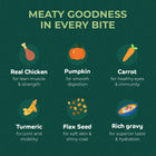 Zigly pet food ingredients with icons: real chicken, pumpkin, carrot, turmeric, flax seed, rich gravy