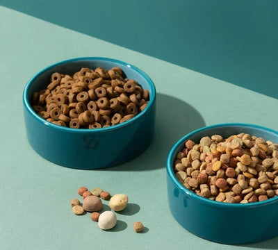 Zigly dry pet food in blue bowls with assorted kibble on a green surface
