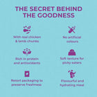Zigly pet food benefits infographic with icons, highlights real chicken, lamb, protein, freshness.