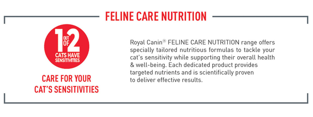 Royal Canin Hair & Skin Adult Wet Cat Food