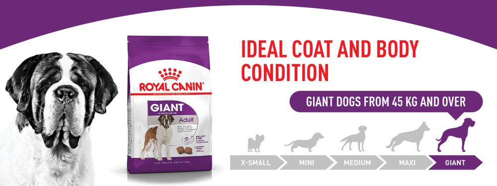 Royal Canin Giant Adult Dry Dog Food