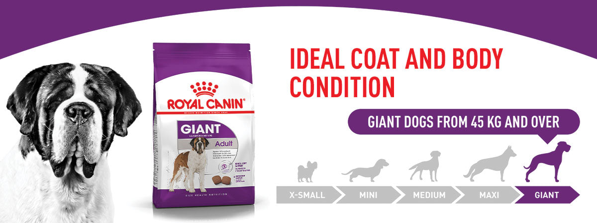 Royal Canin Giant Adult Dry Dog Food