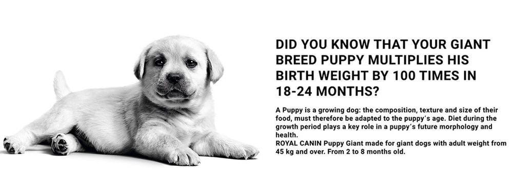 Royal Canin Giant Puppy Dry Dog Food