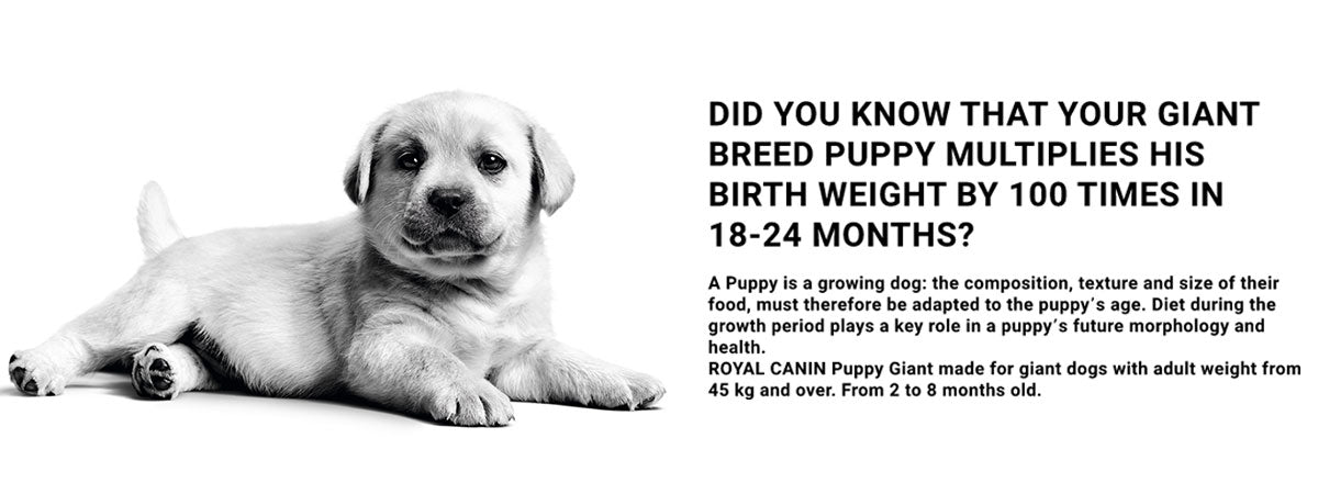 Royal Canin Giant Puppy Dry Dog Food