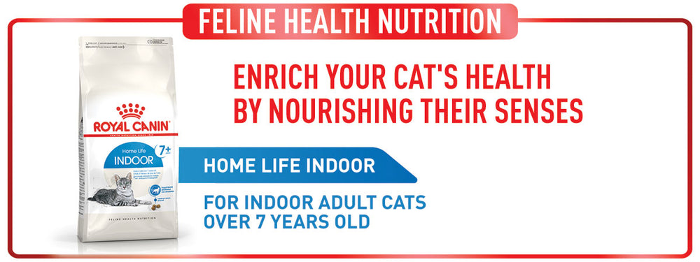 Royal Canin Indoor 7+ Years Adult Dry Cat Food