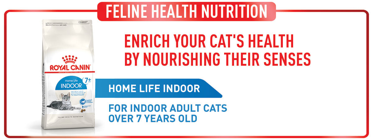 Royal Canin Indoor 7+ Years Adult Dry Cat Food