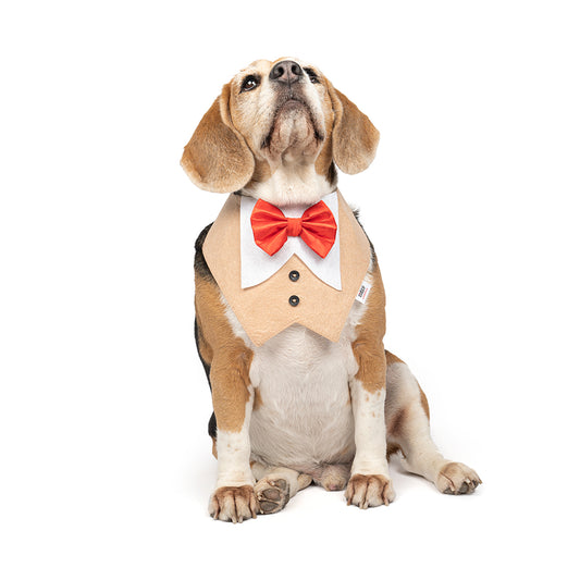 ZL Pup In A Tux Dog Bandana