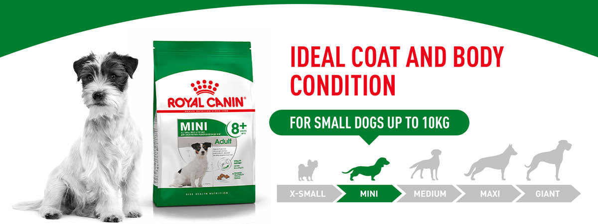 Royal Canin Mini Adult 8+ Dry Dog Food