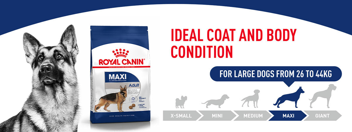 Royal Canin Maxi Adult Dry Dog Food