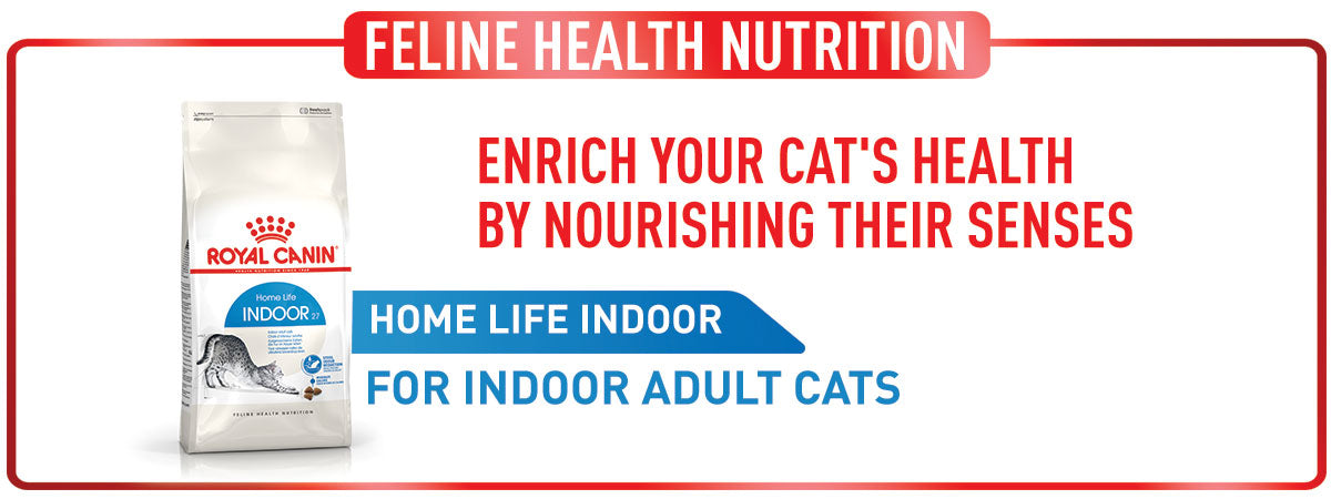 Royal Canin Indoor 27 Adult Dry Cat Food
