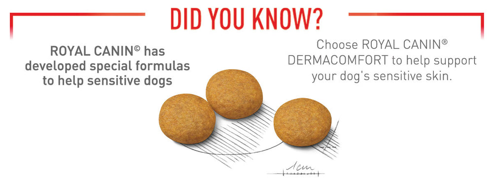 Royal Canin Medium Dermacomfort Adult Dry Dog Food