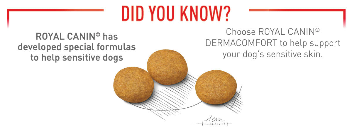 Royal Canin Medium Dermacomfort Adult Dry Dog Food