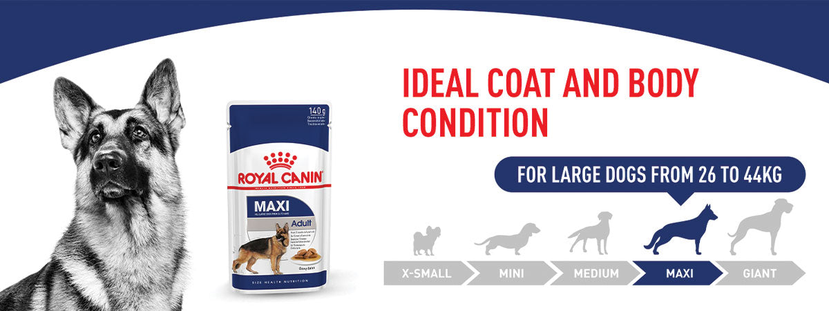 Royal Canin Maxi Adult Wet Dog Food