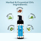 Tell Tails Waterless Foam Shampoo with cinnamon, aloe vera, thyme and tea tree oil from zigly