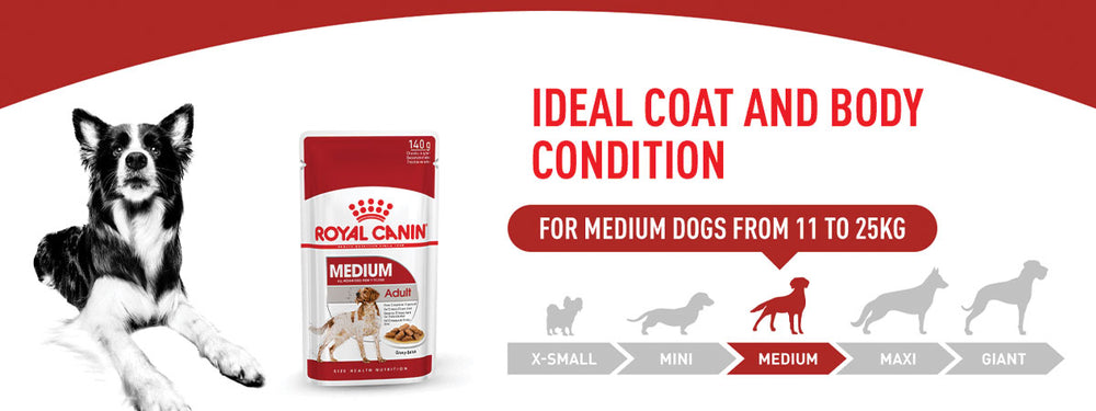 Royal Canin Medium Adult Wet Dog Food