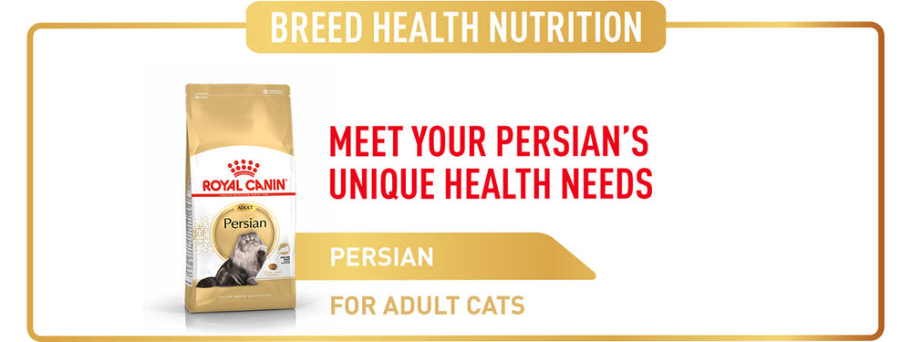 Royal Canin Persian Adult Dry Cat Food
