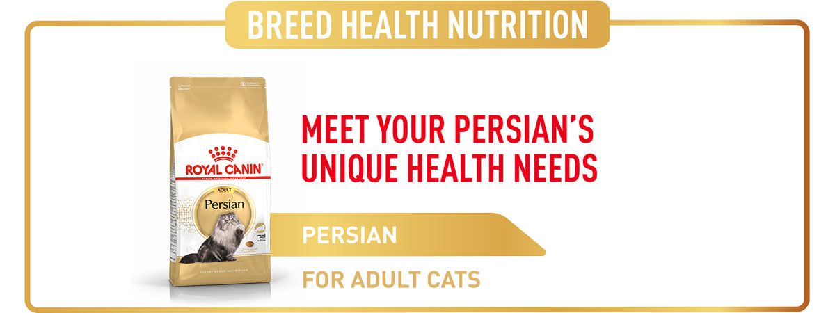 Royal Canin Persian Adult Dry Cat Food