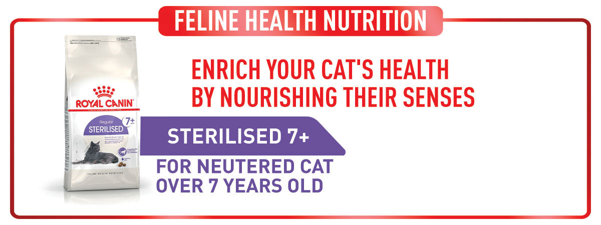 Royal Canin Sterilised 7+ Years Adult Dry Cat Food