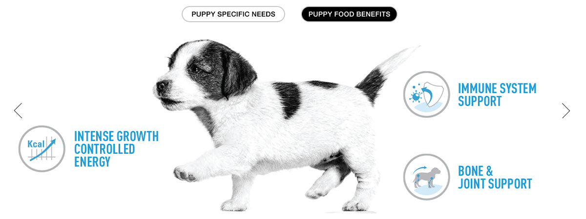 Royal Canin Giant Puppy Dry Dog Food