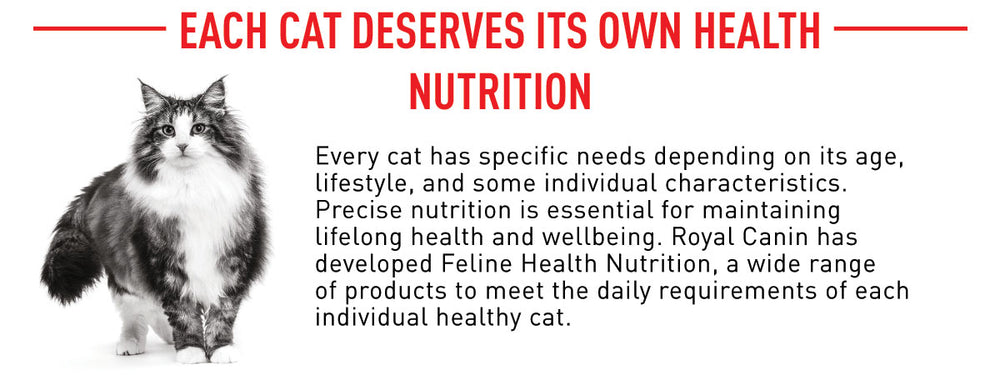 Royal Canin Sterilised 7+ Years Adult Dry Cat Food