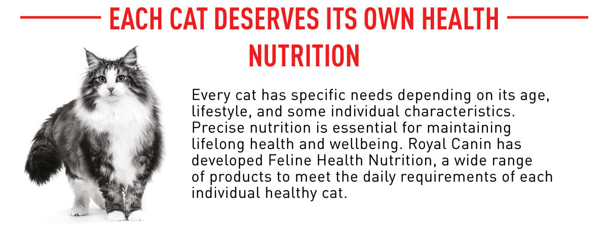 Royal Canin Sterilised 7+ Years Adult Dry Cat Food