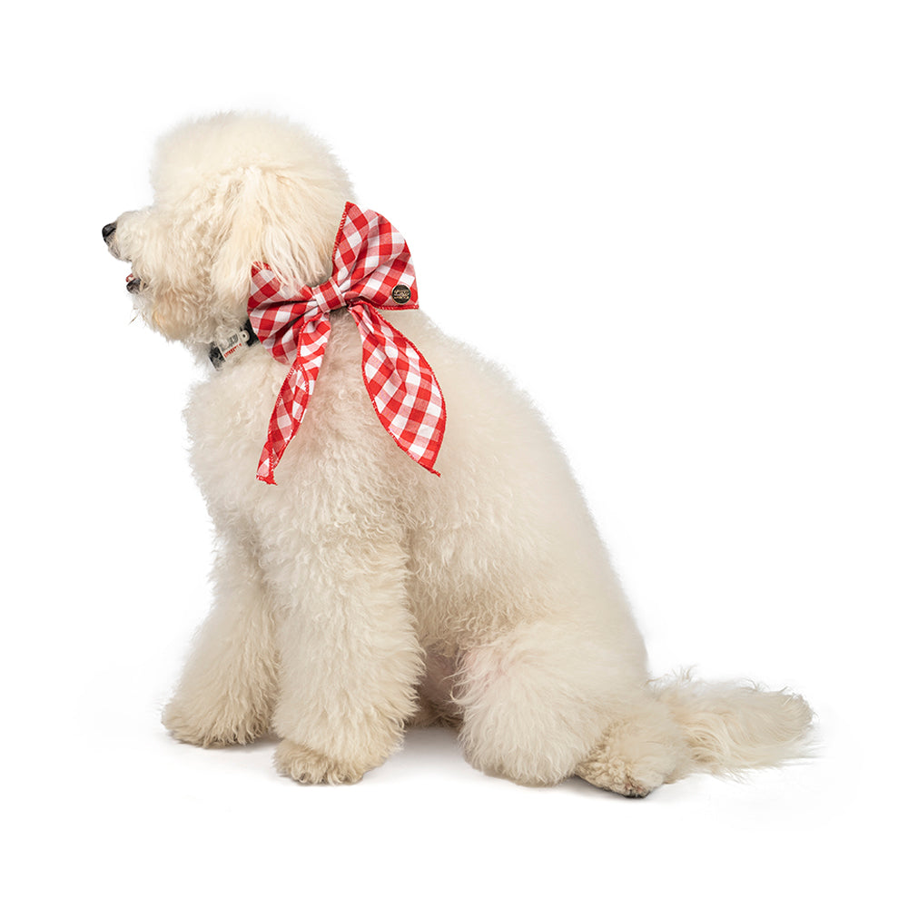 ZL Gingham Glam Ribbon Dog Bow Tie