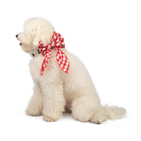 ZL Gingham Glam Ribbon Dog Bow Tie