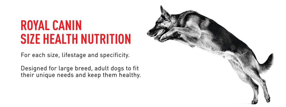 Royal Canin Maxi Adult Wet Dog Food